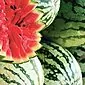 Er det mulig å spise vannmelon med type 1 og 2 diabetes mellitus: anbefalinger fra ernæringsfysiologer