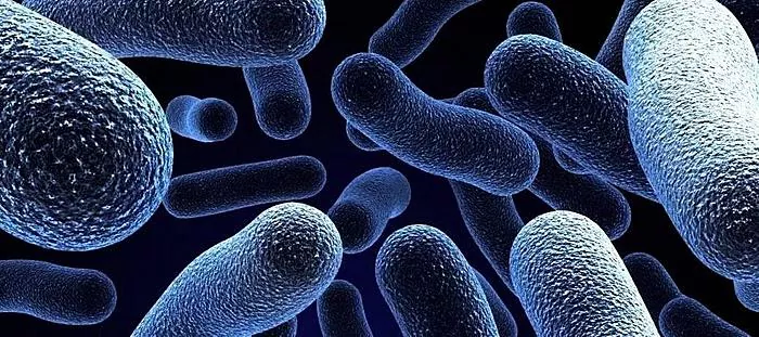 Mengapa kita memerlukan bakteria asidofilik?
