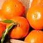 Hamilelikte değişen tatlar: turunçgiller yiyebilir misin?