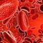 טרומבוציטופניה: כיצד להגן על עצמך מפני מחלות דם?