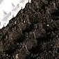 Hur man planterar rädisor korrekt för att få en utmärkt skörd