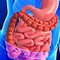 紅斑性胃障害：原因、症状、治療