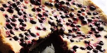 Blackcurrant cake: ways to prepare a culinary masterpiece for the festive table