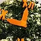Pinabukal nga salad sa carrot: lami ug maayo nga snacks nga gibase sa usa ka pamilyar nga utanon