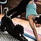 Fascinerende yoga: hvordan man mestrer komplekse og smukke asanas