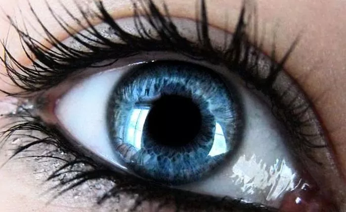 Apa yang ditunjukkan oleh bintik hitam di mata?