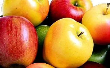 りんごジャム：冬の香り高い珍味