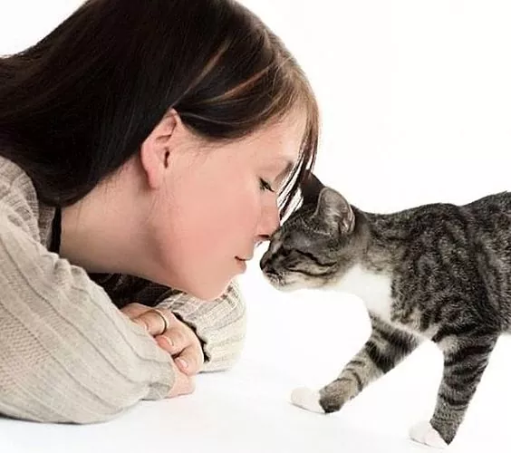 Πώς και πώς να αντιμετωπίσετε την παλιή αναπνοή σε μια γάτα;