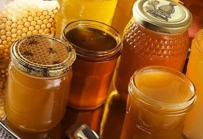 Varietas madu yang paling bermanfaat