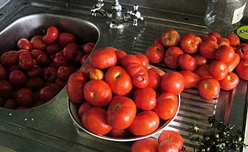 Different recipes for cooking tomatoes in their own juice