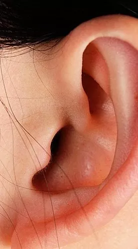 Escorces darrere de les orelles d’un adult: com i com tractar l’escòrfula, l’èczema o les al·lèrgies?