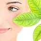 A folha de louro pode ajudar a se livrar da acne rapidamente