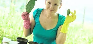 Hur man planterar en rotlös kaktus med frön?