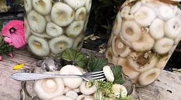 Gljive sa slanim mlijekom s hrenom i češnjakom