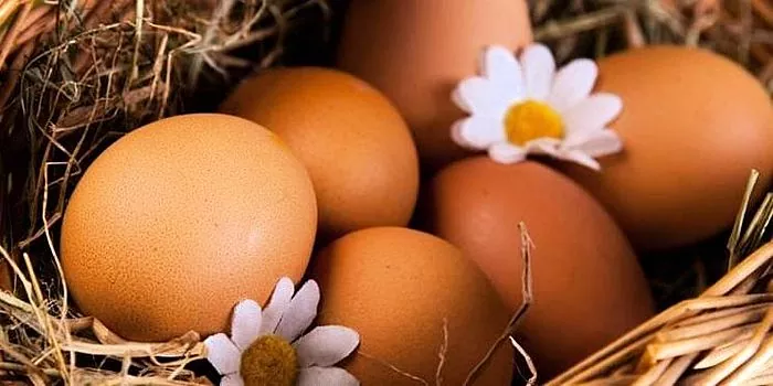 Dijeta i liječenje alergija na jaja