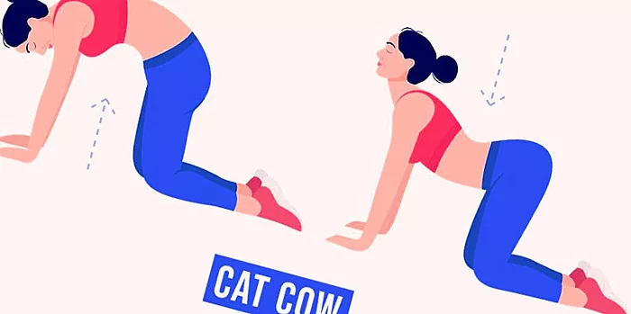 Um simples exercício para gatos é bom para as costas e eficaz para queimar gordura