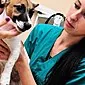 कुत्तों में कान घुन: कारण, उपचार, रोकथाम