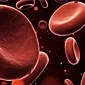 Pourquoi un taux d'hémoglobine élevé est-il dangereux?
