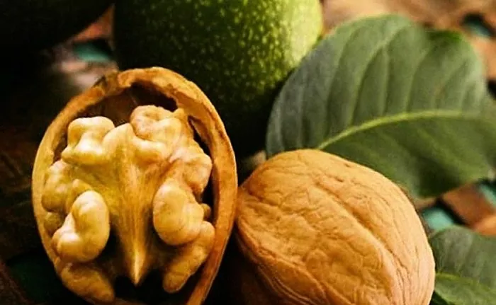 Kreeka pähkliõli: kasutamine kosmetoloogias