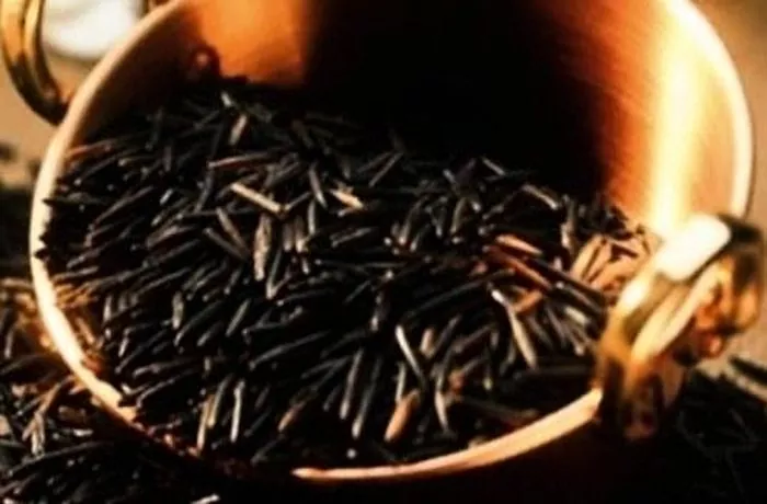 Nasi hitam: manfaat dan bahayanya, cara memasak