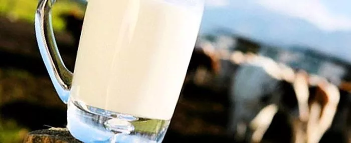 شیر پاستوریزه چه ویژگی خاصی دارد؟