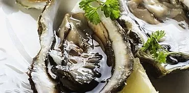 牡蠣を正しく食べる方法とその準備のための推奨事項