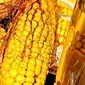 Korzyści i szkody związane z olejem kukurydzianym