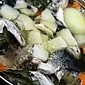 Tahıllarla lezzetli zengin balık çorbası pişirmenin sırları