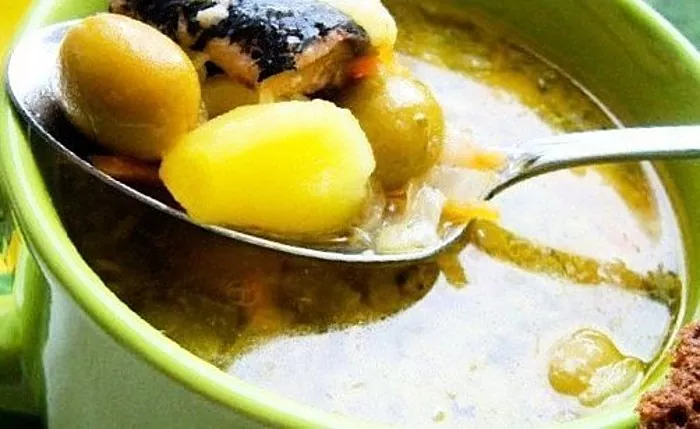 سوپ ماهی سوری کنسرو شده