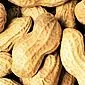 Är cashewnötter skadliga eller fördelaktiga under graviditeten?