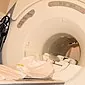 MRI semasa kehamilan: petunjuk dan kontraindikasi