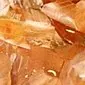 양파 껍질 : 한 병에 모발 착색 및 트리트먼트