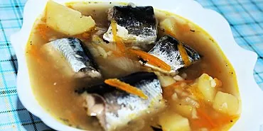 איך מכינים שימורי מרק דג סלמון ורוד כדי שיהיה טעים ומזין