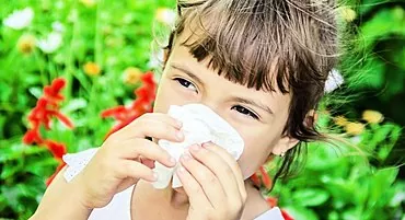 נזלת אלרגית בילדים: תסמינים וטיפול בתרופות בית מרקחת בבית