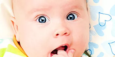 שיני עיניים בילד: תכונות, התפרצות, תסמינים