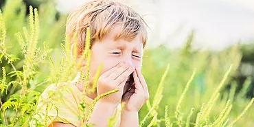 Ako liečiť alergickú nádchu u dospelých a detí?