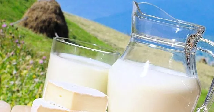 هر آنچه در مورد شیر بز باید بدانید