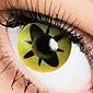 Vilka är de bästa kontaktlinserna?