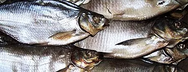 پخت و پز ماهی خشک در خانه: یک دستور العمل ساده ، روش های ذخیره سازی ، مقدار کالری محصول