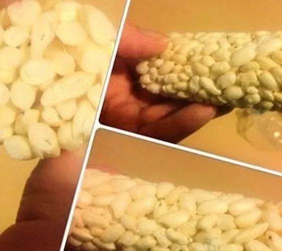 איך מכינים אורז תופח בבית?