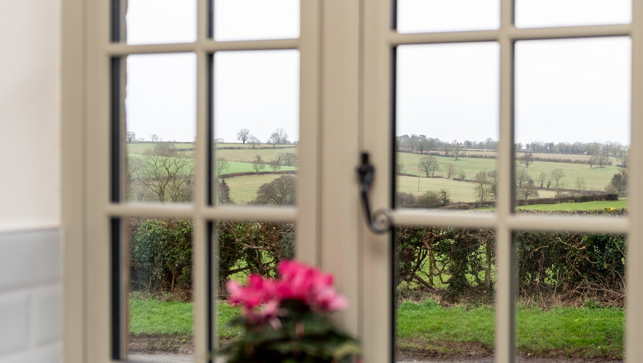 

                                        Pale green window. pink cyclamen on window sill, beautiful view out over green fields behind a hedge.