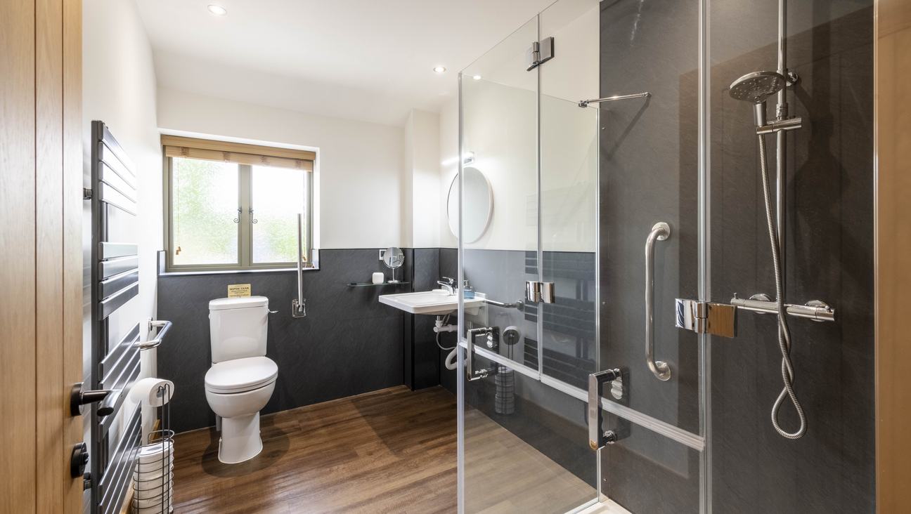 

                                        comfort height toilet with stainless steel grab rails both sides, adjustable sink integrated grab rails, roll in shower with two grab bars. wooden floor and sunshine coming in through window behind toilet.