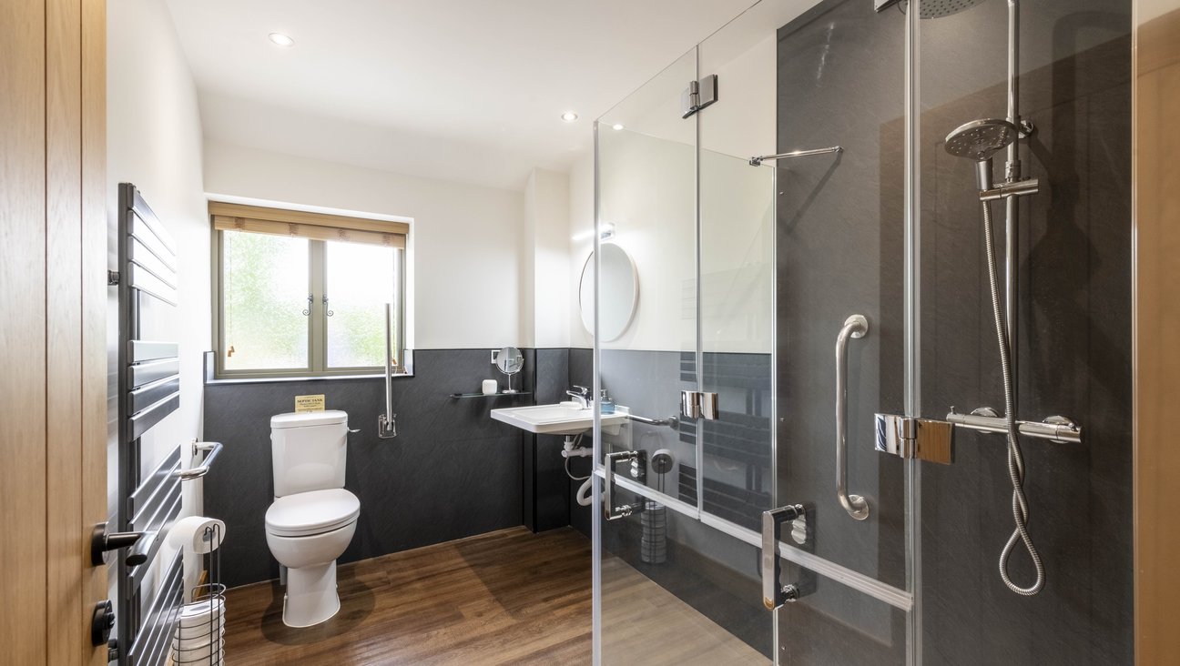 

                                        comfort height toilet with stainless steel grab rails both sides, adjustable sink integrated grab rails, roll in shower with two grab bars. wooden floor and sunshine coming in through window behind toilet.
