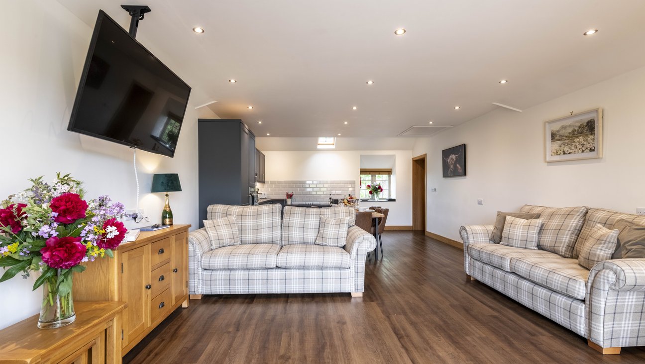 

                                        two big squishy tartan sofas in the foreground with kitchen and dining area in the background, wooden floors with white walls