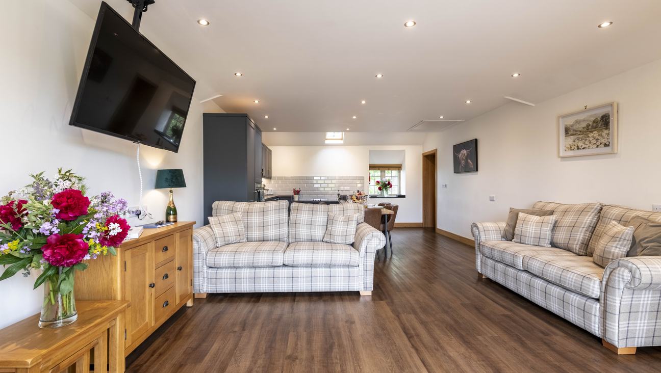 

                                        two big squishy tartan sofas in the foreground with kitchen and dining area in the background, wooden floors with white walls