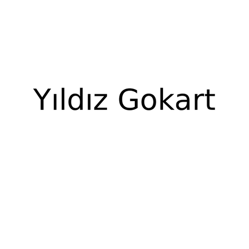 Yıldız Gokart