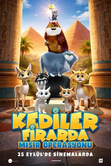 KEDİLER FİRARDA: MISIR OPERASYONU