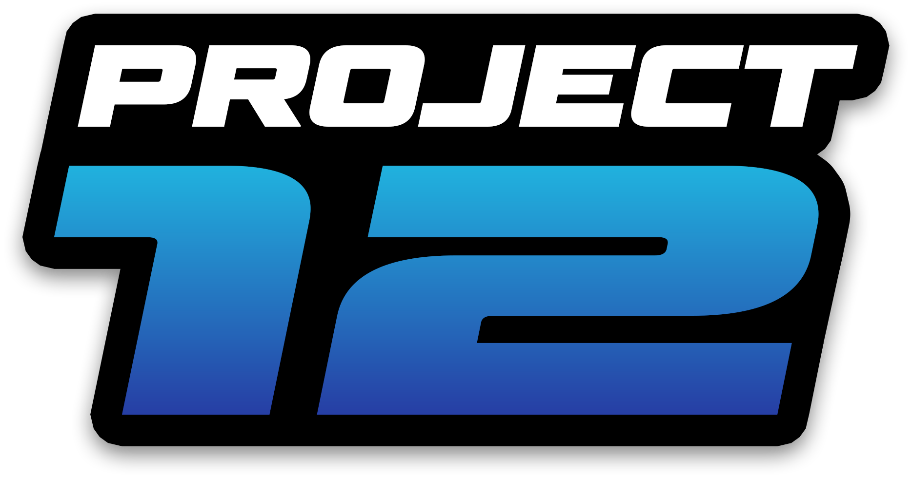 Project 12 logo