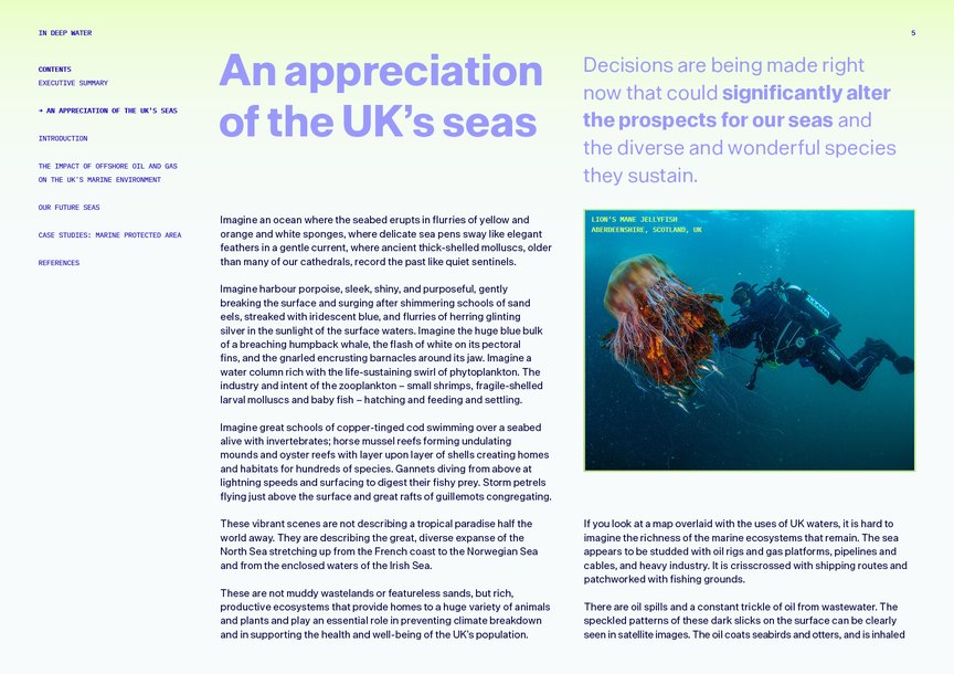 A spread from the report celebrating the vibrant diversity of the UK's seas