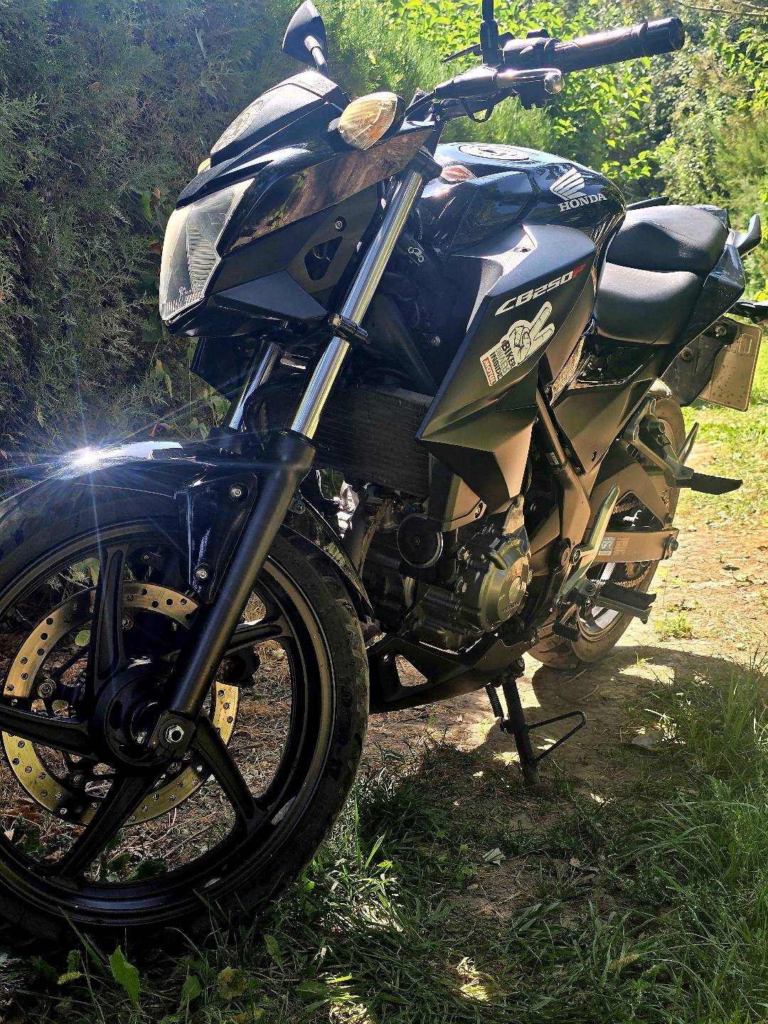 Honda cd250rr - изображение 3